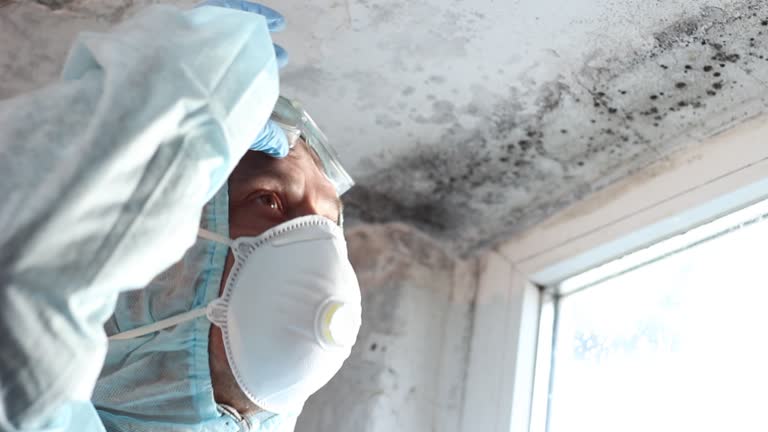 Why You Should Choose Our Mold Remediation Services in Sandersville, GA